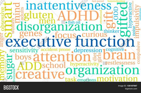Executive control Word Hike .